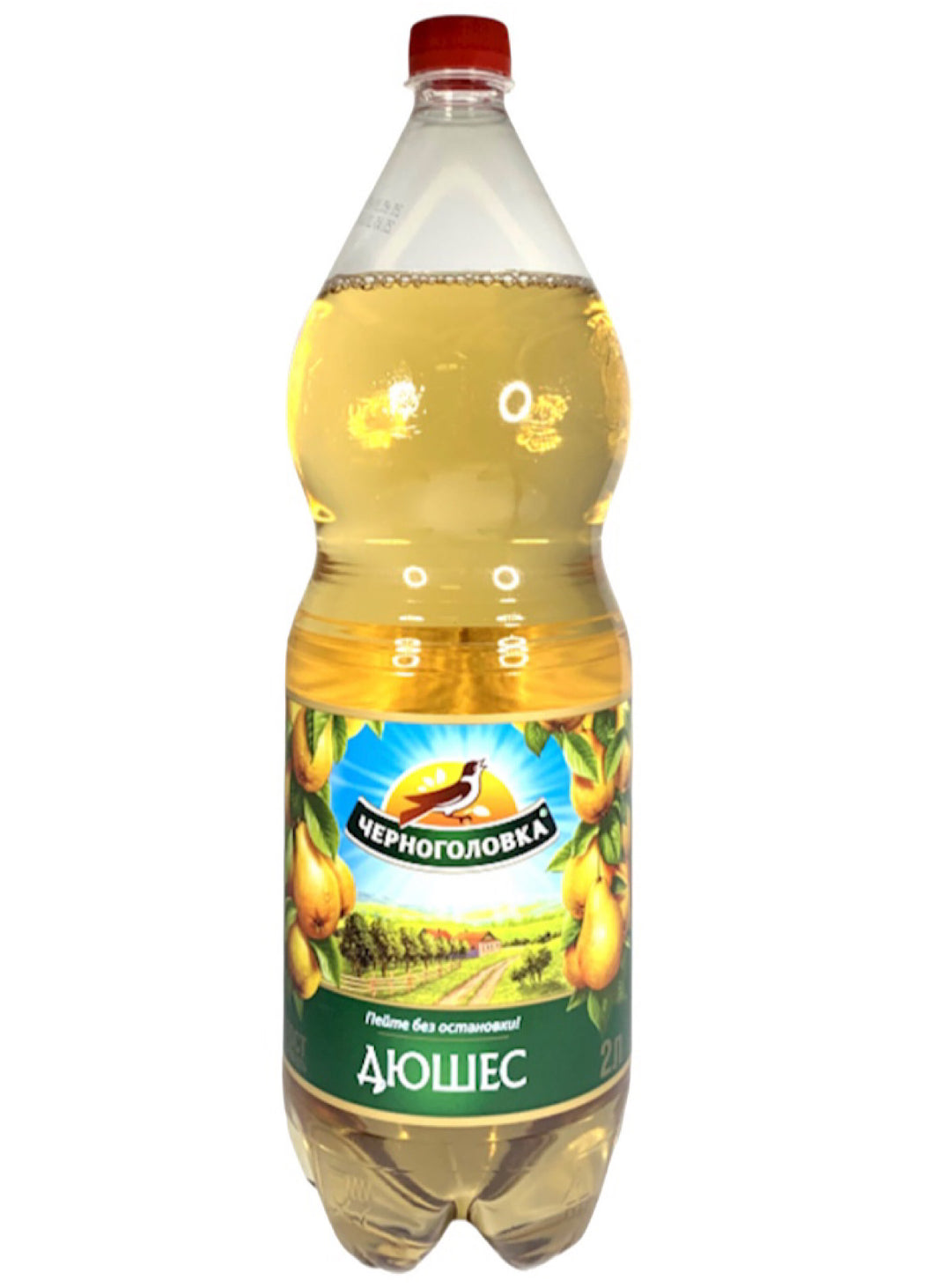 Dushes Soda - Chernogolovka- 2L